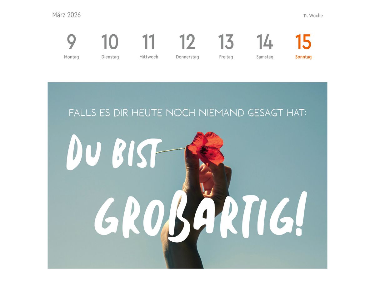 HEYE Cal. de cartes postales 2026 23558+26 Statements 16.5x17.7cm (9783756412617)