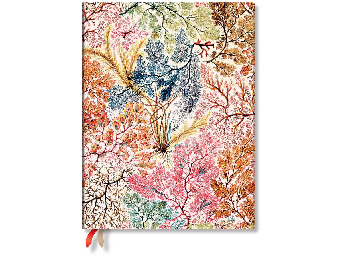 PAPERBLANKS Agenda Anemone 2026 FD0699-3 1S/2P VER Ultra SC AL 18x23cm (9780349706993)