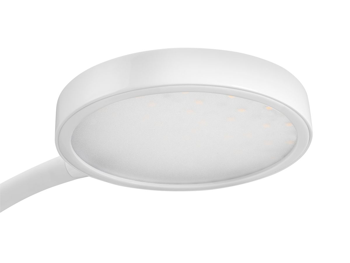 CEP Lampada d.tavolo FLEX CLED-0290Sil Quercia, regolabile 7W (3462159017013)