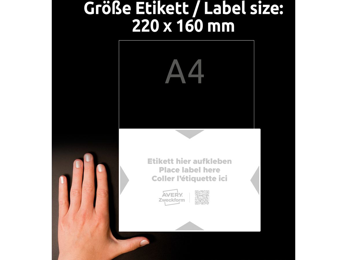 AVERY ZWECKFORM Etiquettes support 220x160mm 8003-5 gris clair 5 pcs./5 flls. (4004182335000)