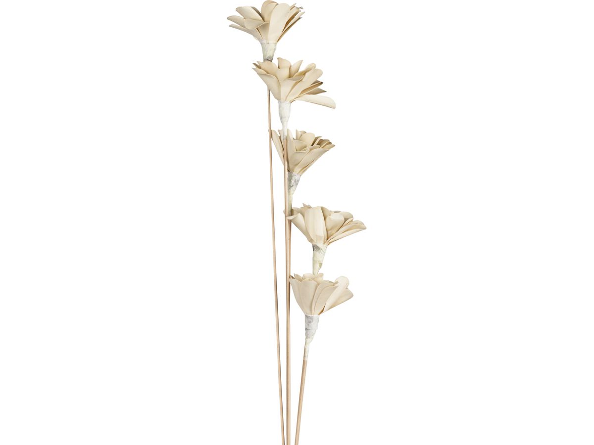EGLO Fleur séchée SENNETERRE 428167 blanc (9008606282166)