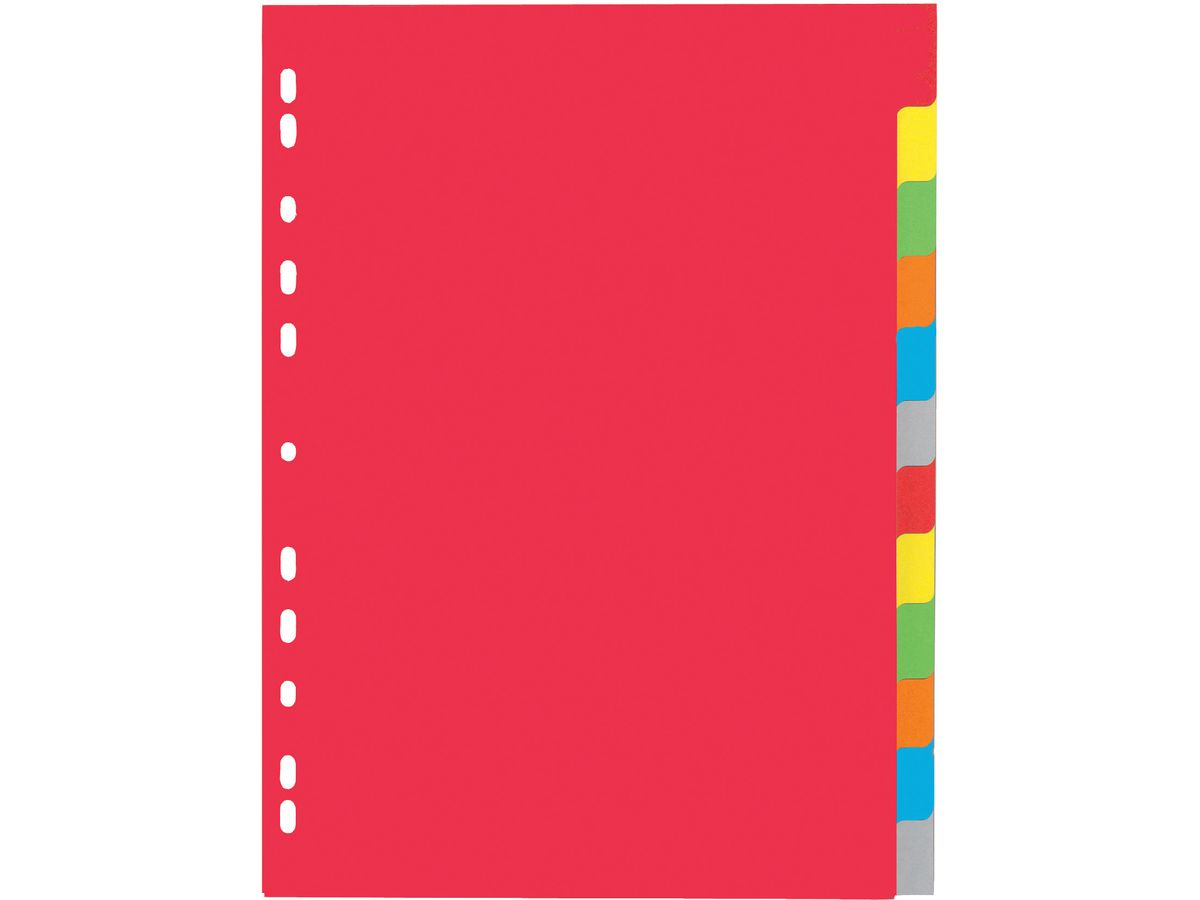 PAGNA Kartonregister A4 31121-20 intensiv 12-teilig (4013951011052)