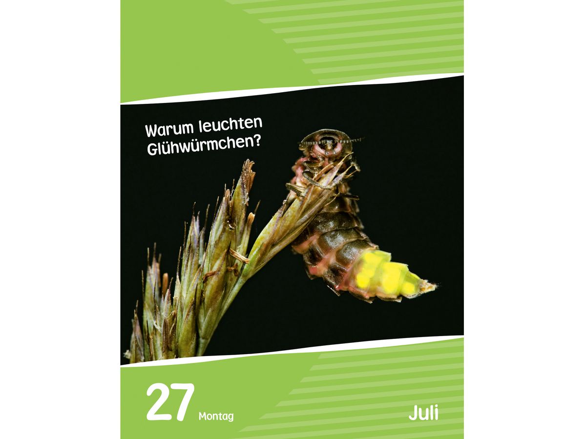 HARENBERG Abreisskalender 2026 2104700+26 Wissen für Kids DE 12.5x16cm (9783840035517)