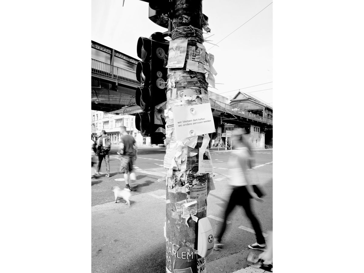 MAGNETOPLAN Aimant Design Acryl 1681020 20mm 4 pcs. (4013695054858)