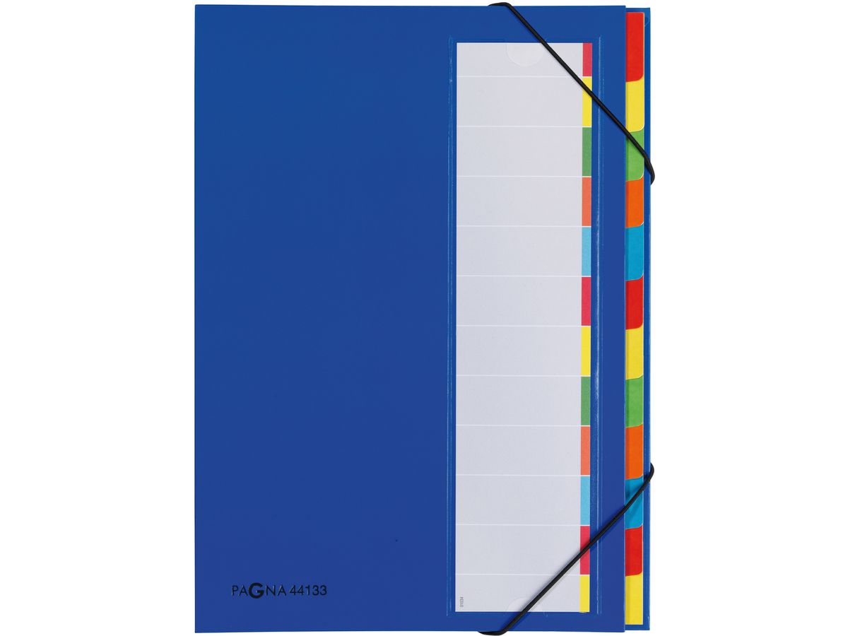 PAGNA Deskorganizer A4 44133-02 bleu 12 compart. (4013951003293)