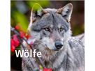 WEINGARTEN Bildkalender 2026 2963700+26 Wölfe DE 48x46cm (9783839901960)