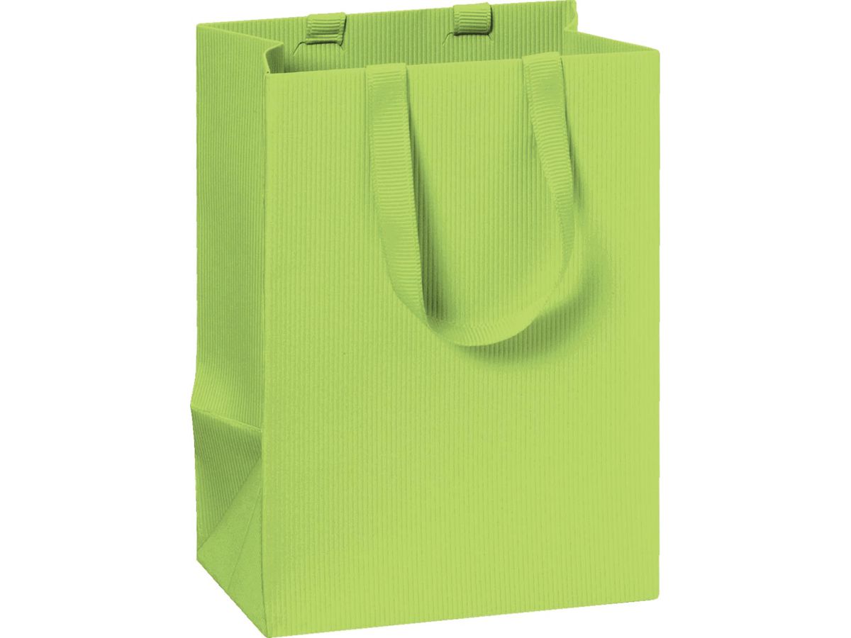 STEWO Geschenktasche One Colour 2541782896 grün hell 10x8x14 (7630050855140)