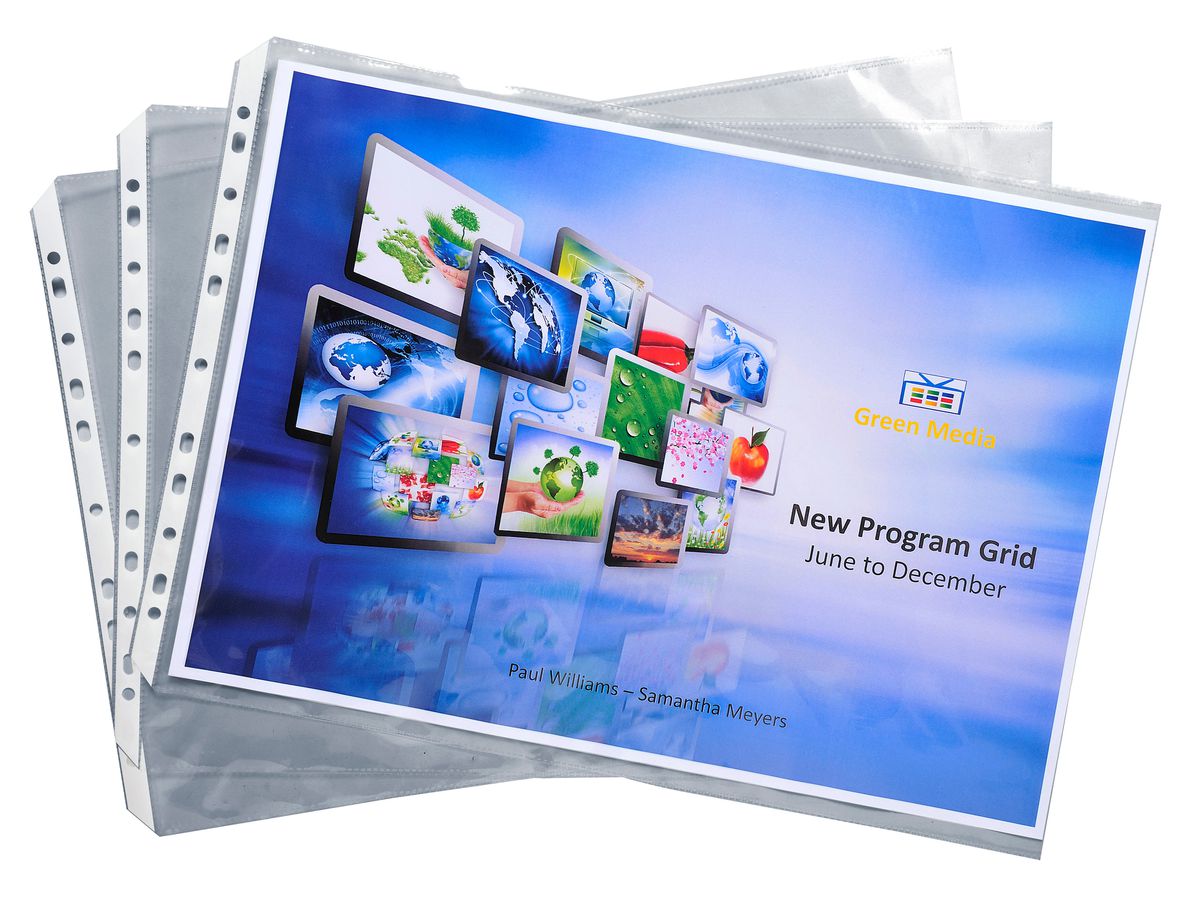 EXACOMPTA Zeigetaschen, genarbt A3 6210E PP, gelocht, 100my (3130631062102)