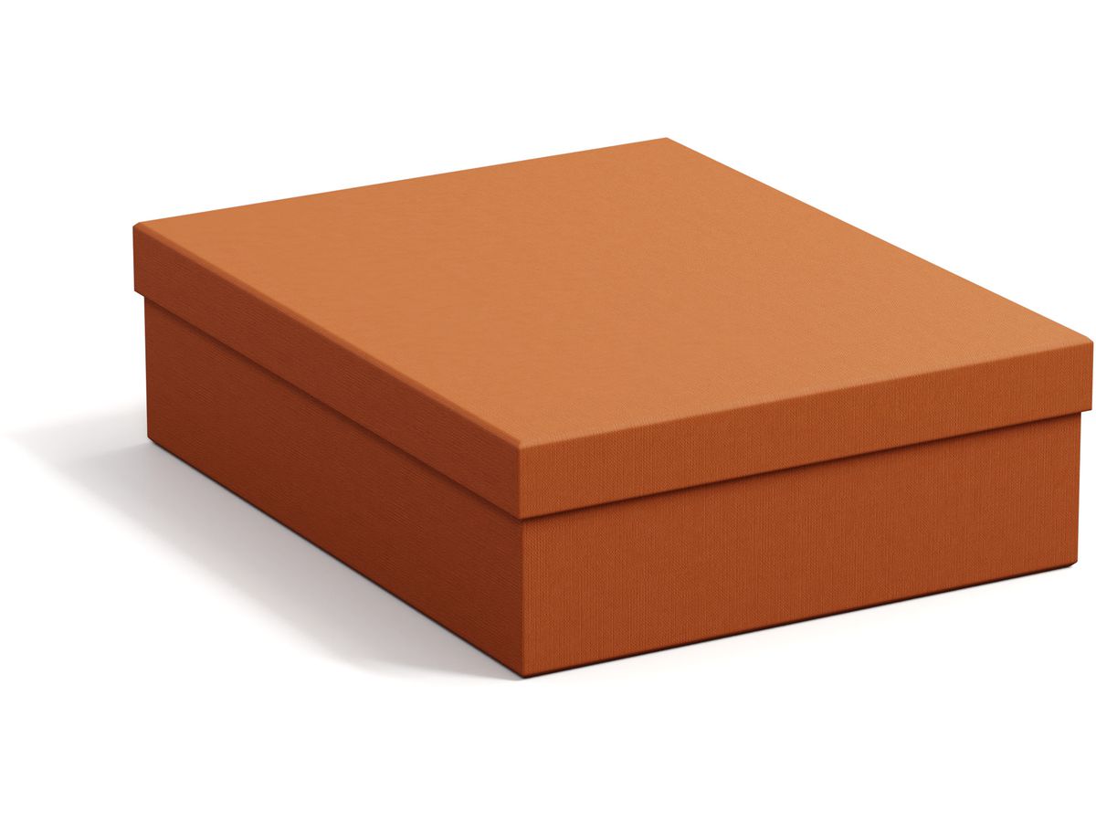BIGSO BOX OF SWEDEN Boîte de rangement Cindy 325552233 terracotta 5er-Set (7330061084064)