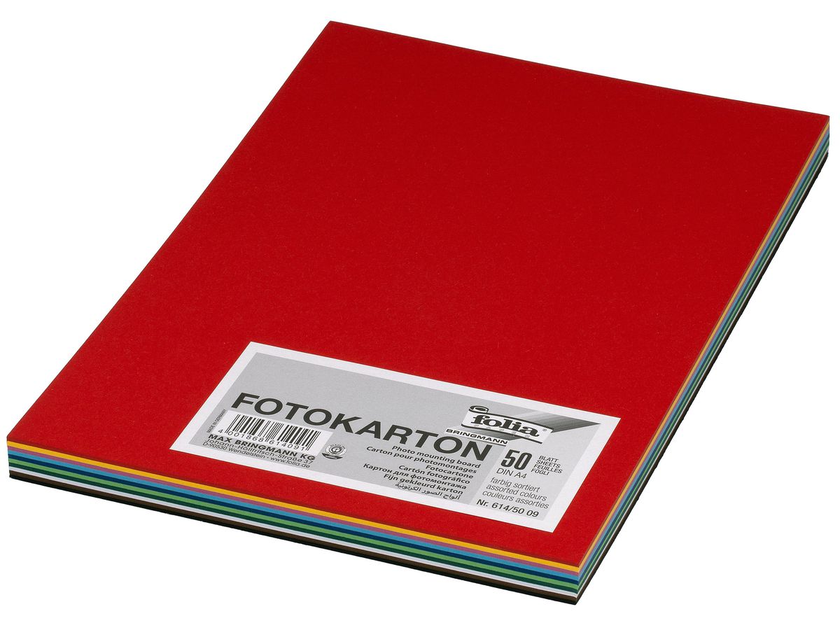 FOLIA Carton Photo A4 614/50 09 300g, ass. 10x5 feuilles (4001868614091)