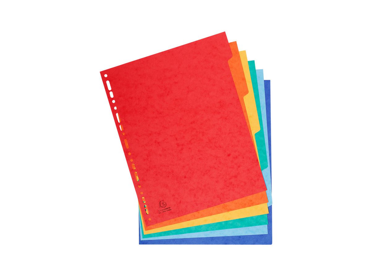 EXACOMPTA Kartonregister A4+ 2606E intensiv 6-teilig (3130630026068)