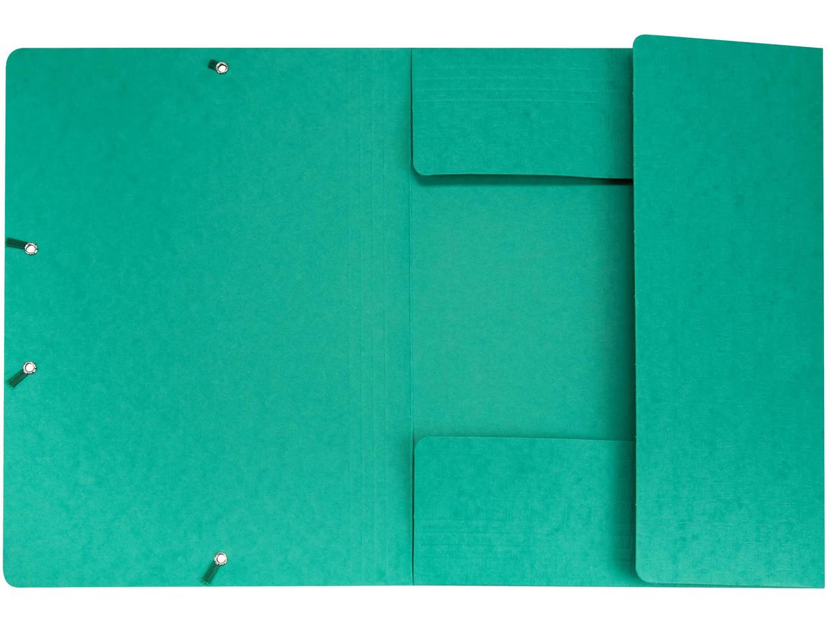 BIELLA Dossier ferm. Élastique A4 17840030U vert, 590gm2 220 flls. (7611365252534)
