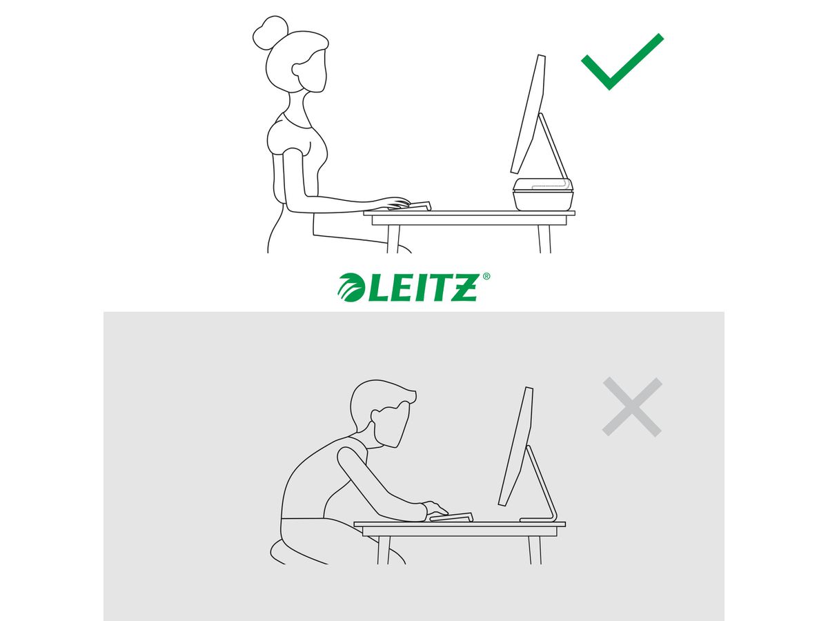 LEITZ Support pour moniteur Ergo 6504-00-85 Gris (4002432134816)