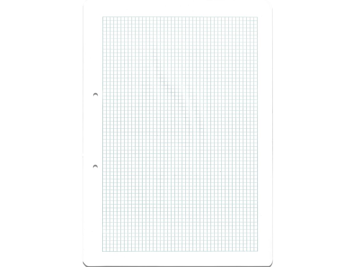 NEUTRAL Inserto per classificatore A4 TESSIN quadr., 4mm, 90g 100 fogli (7612532044839)