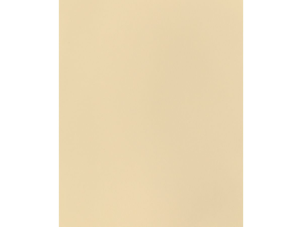 I AM CREATIVE Carton photo 50x70cm 2902498303 270g, crème (8714677266974)