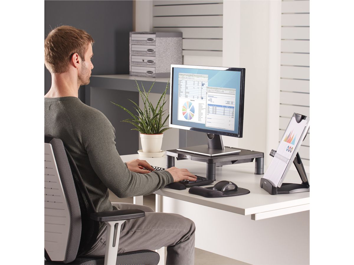 FELLOWES Monitor Support Standard 9169301 (0043859529735)