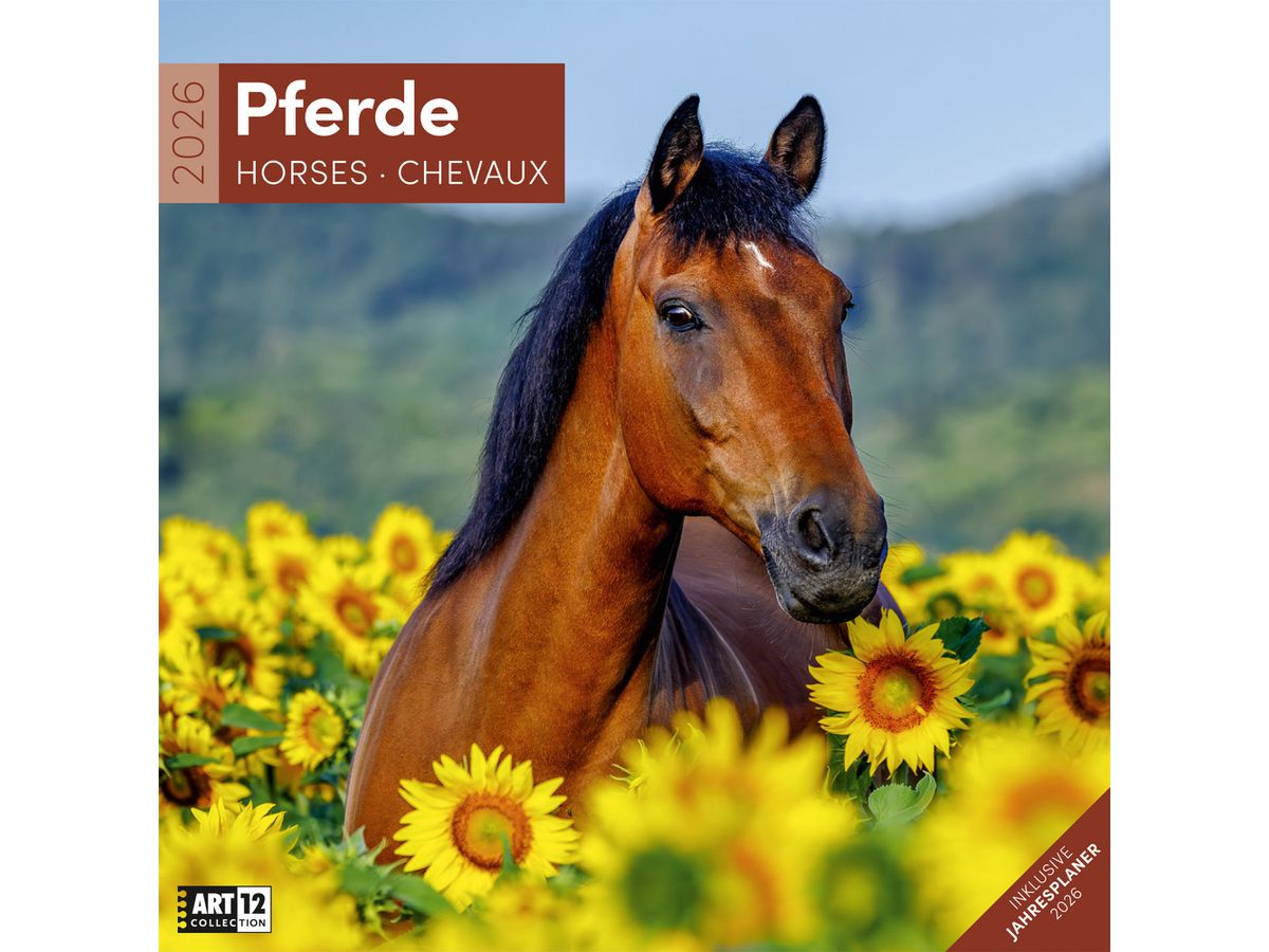 ACKERMANN Bildkalender 2026 4621 Pferde ML 30x30cm (9783838446219)