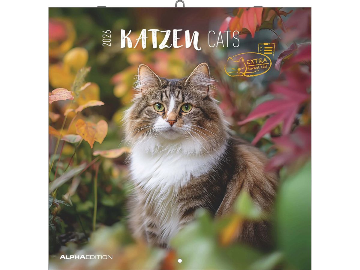ALPHA EDITION Bildkalender 2026 160298 Katzen ML 30x30cm (4069095002982)