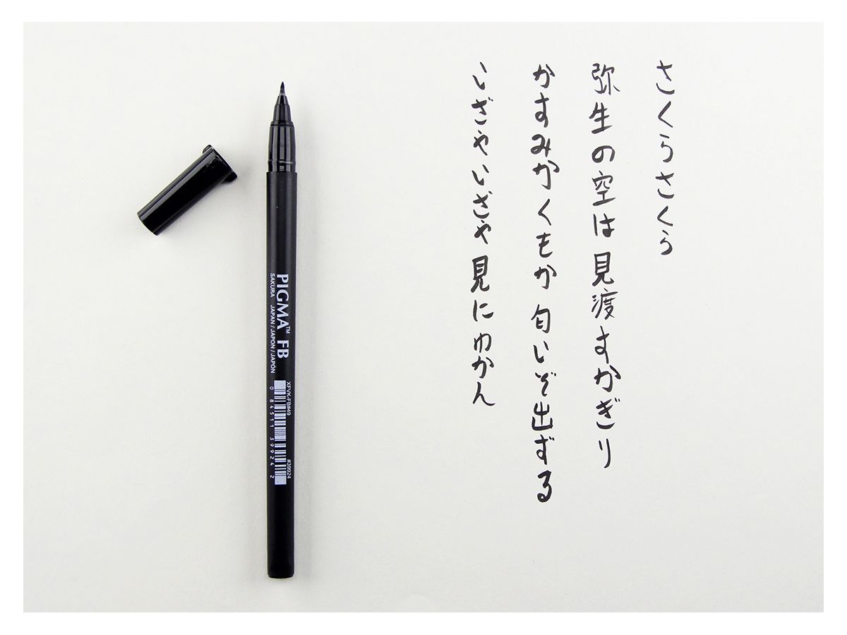 SAKURA Pigma Brush Pen F XFVKFB49 black (0084511399242)