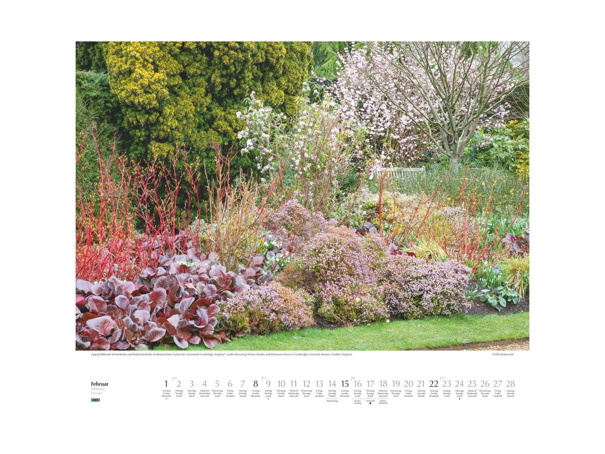 DUMONT Bildkalender 2026 260375 Schöne Gärten ML 52x42.5cm (4069095003750)