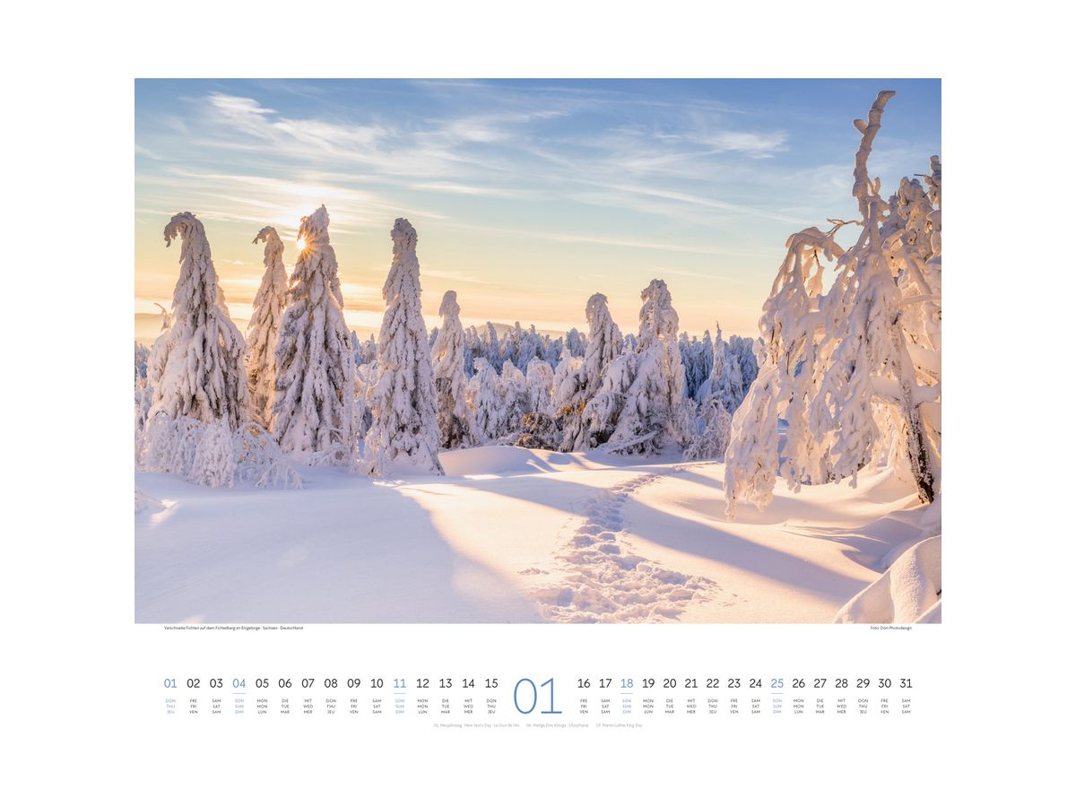 ACKERMANN Bildkalender 2026 2634 Wege ML 54x48cm (9783838426341)