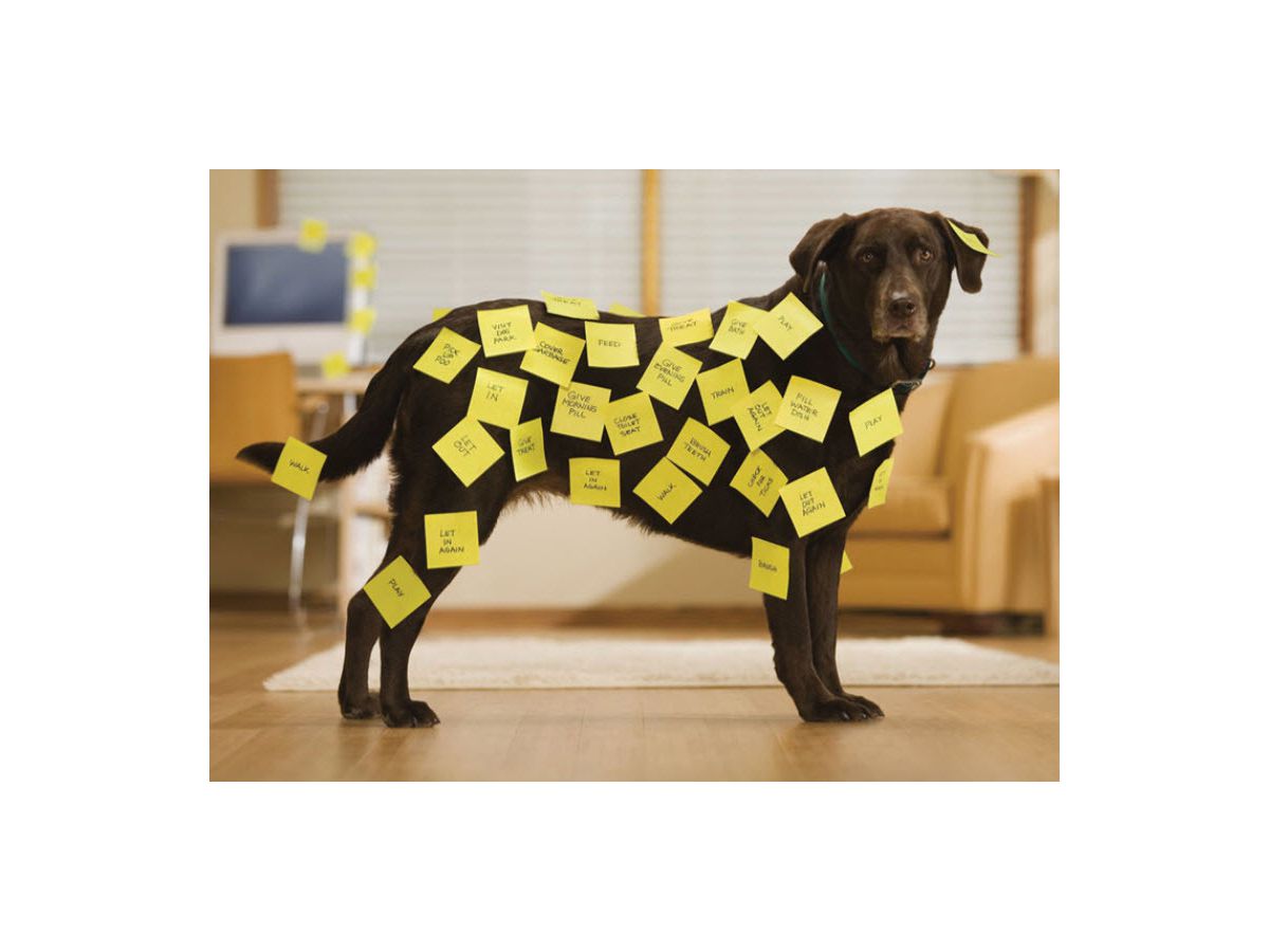 POST-IT Block 76x76mm 654-6 gelb/100 Blatt (3134375014021)