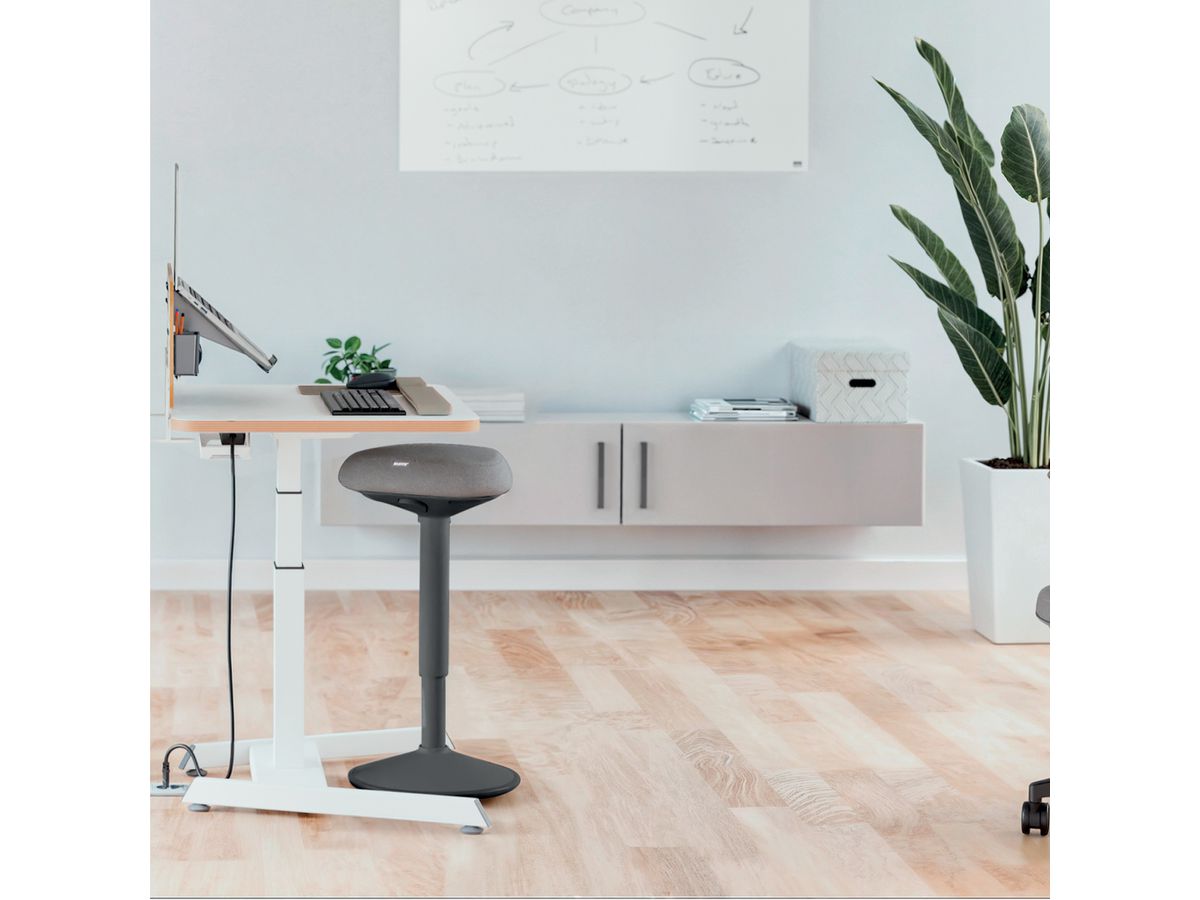 LEITZ Tabourets de bar Ergo Acitv 6545-00-89 gris (4002432138432)