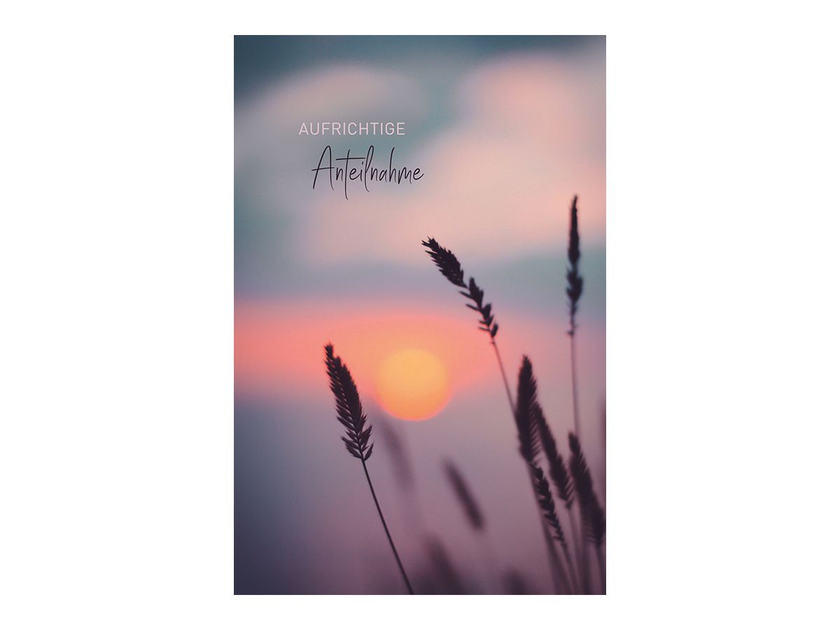 ABC Biglietto di condog. B6 51967 Canne (7611119216461)