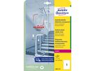 AVERY ZWECKFORM Etiketten L8011-10 Antimic. 210x297mm transp. (4004182380116)