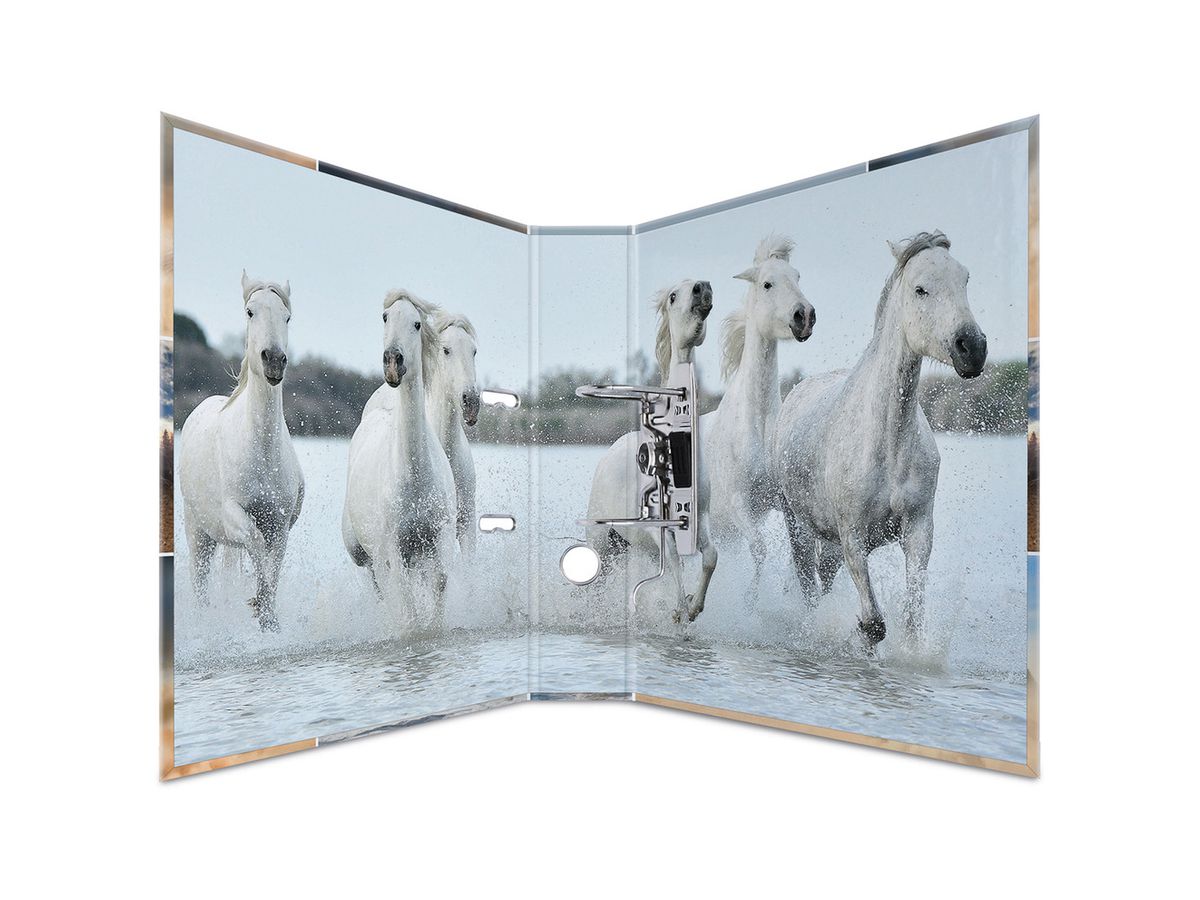 HERMA Raccoglitore motiv 7cm 7164 cavalli A4 (4008705071642)