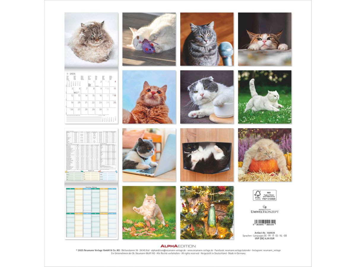 ALPHA EDITION Bildkalender 2026 160939 Funny Cats ML 30x30cm (4069095009394)