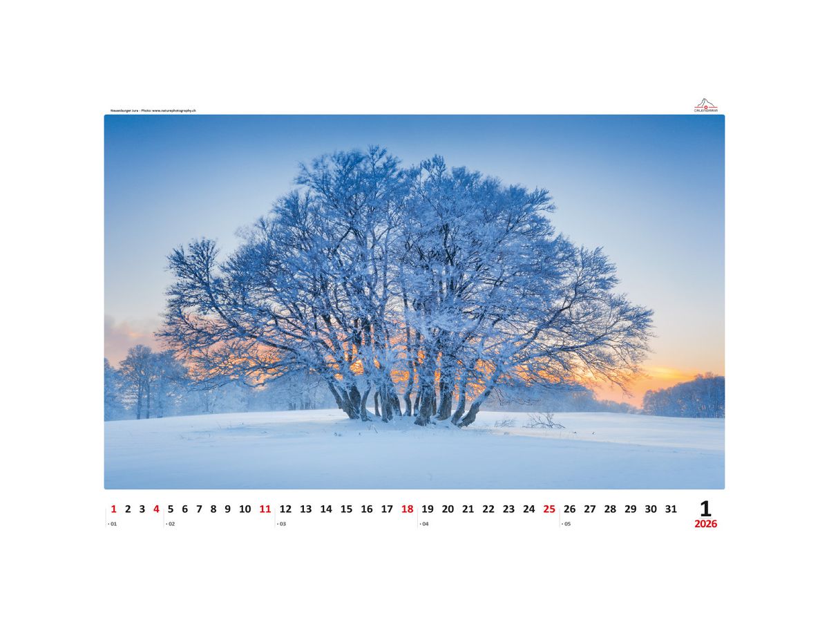 CALENDARIA Bildkalender 2026 9783036205250 Impressionen ML 48x33cm (9783036205250)