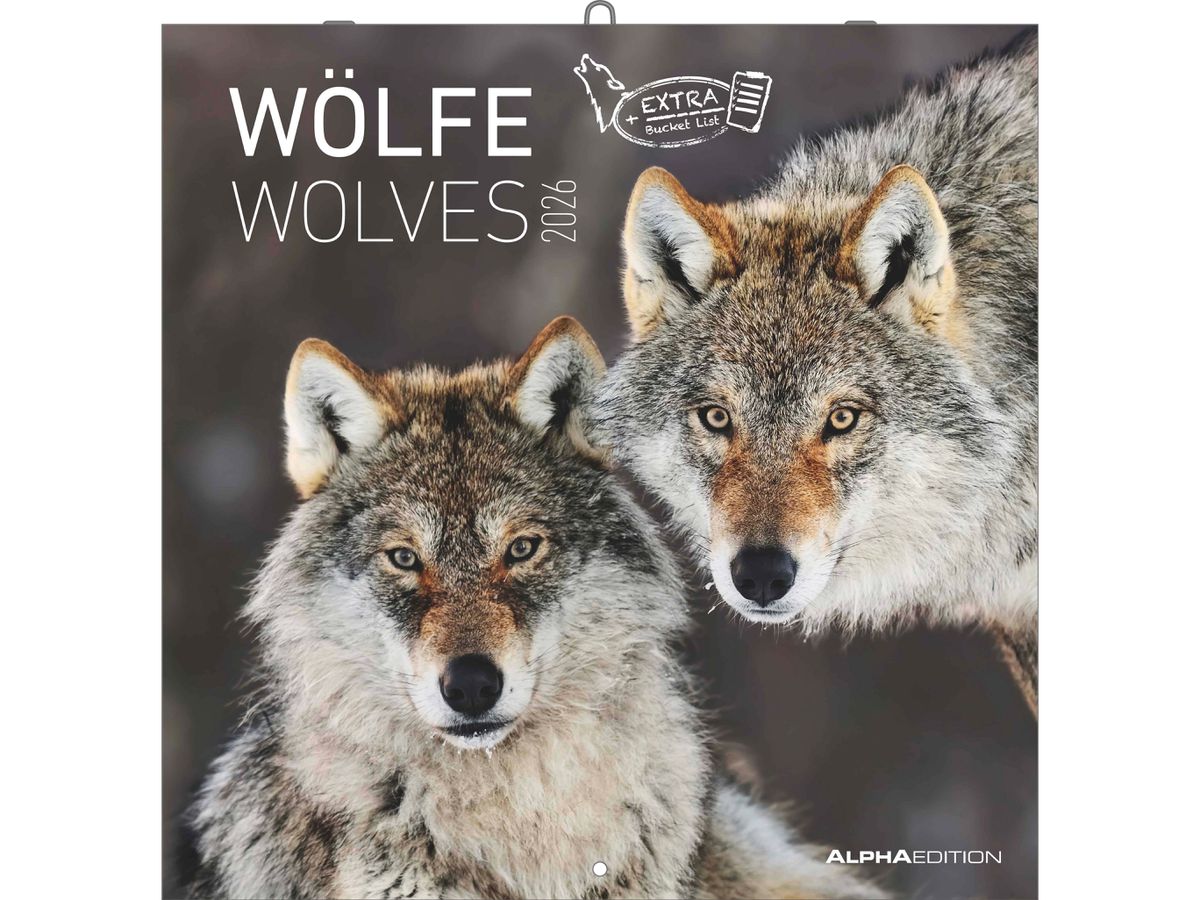 ALPHA EDITION Bildkalender 2026 160301 Wölfe ML 30x30cm (4069095003019)