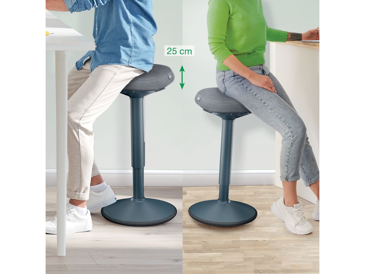 LEITZ Tabourets de bar Ergo Acitv 6545-00-89 gris (4002432138432)