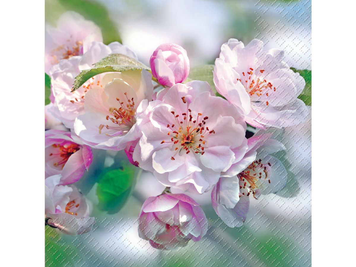 STEWO Tovagliolo Mady 2572619746 luminoso 33x33cm (7630050800461)