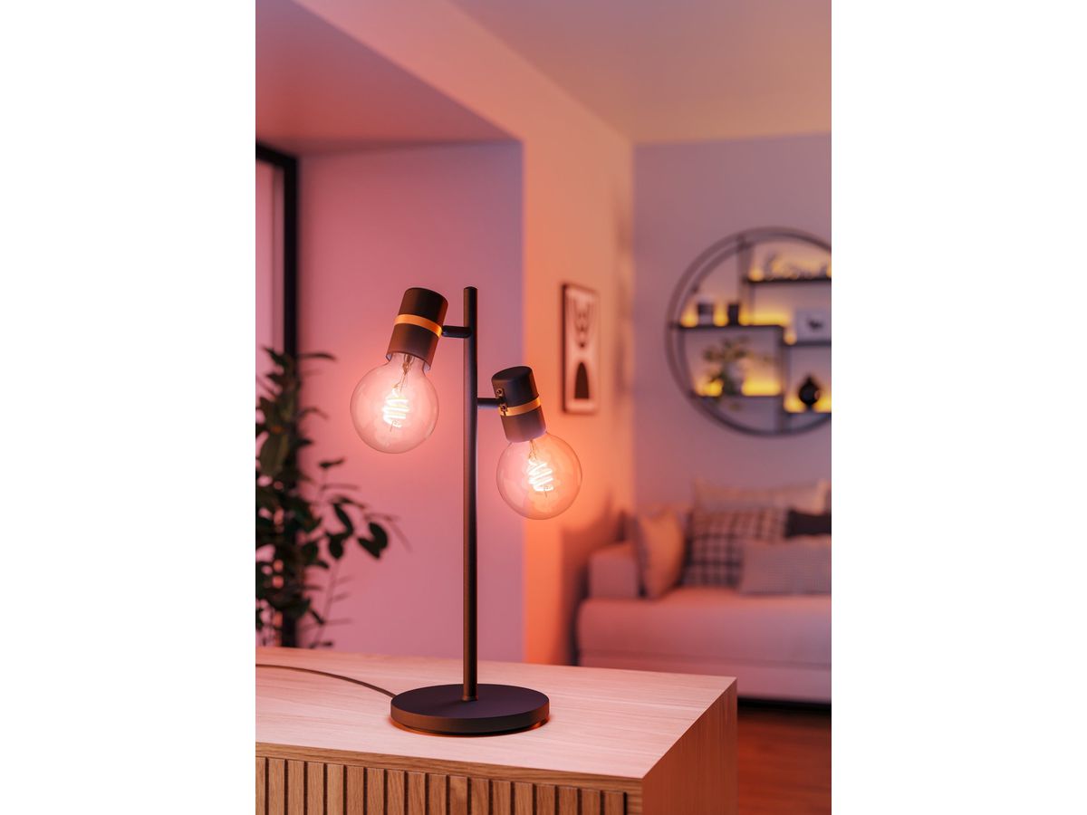 EGLO Ampoules E27 110274 connect.Z (9008606305926)