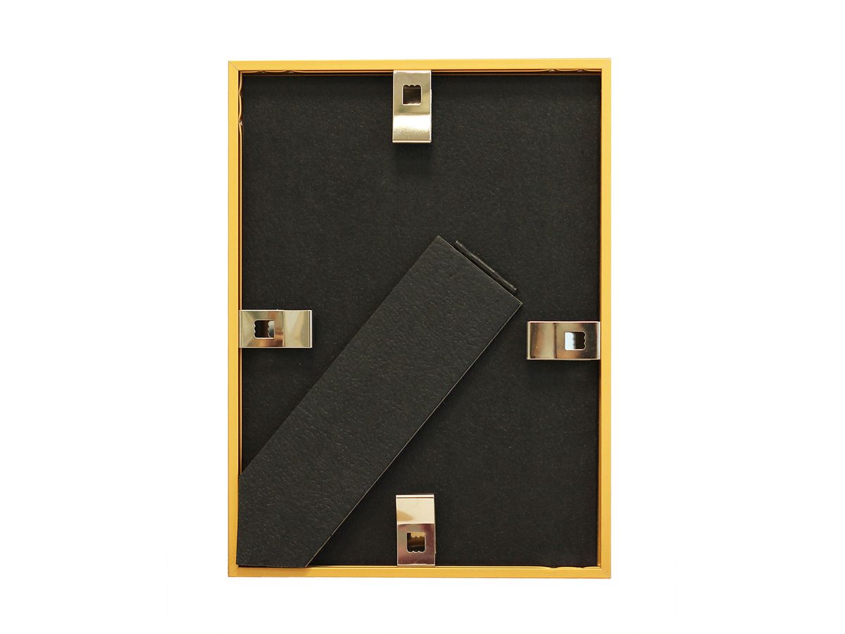 DEBEX Cadre 21x29,7cm 904301-210X2 Alu or (7611195404189)