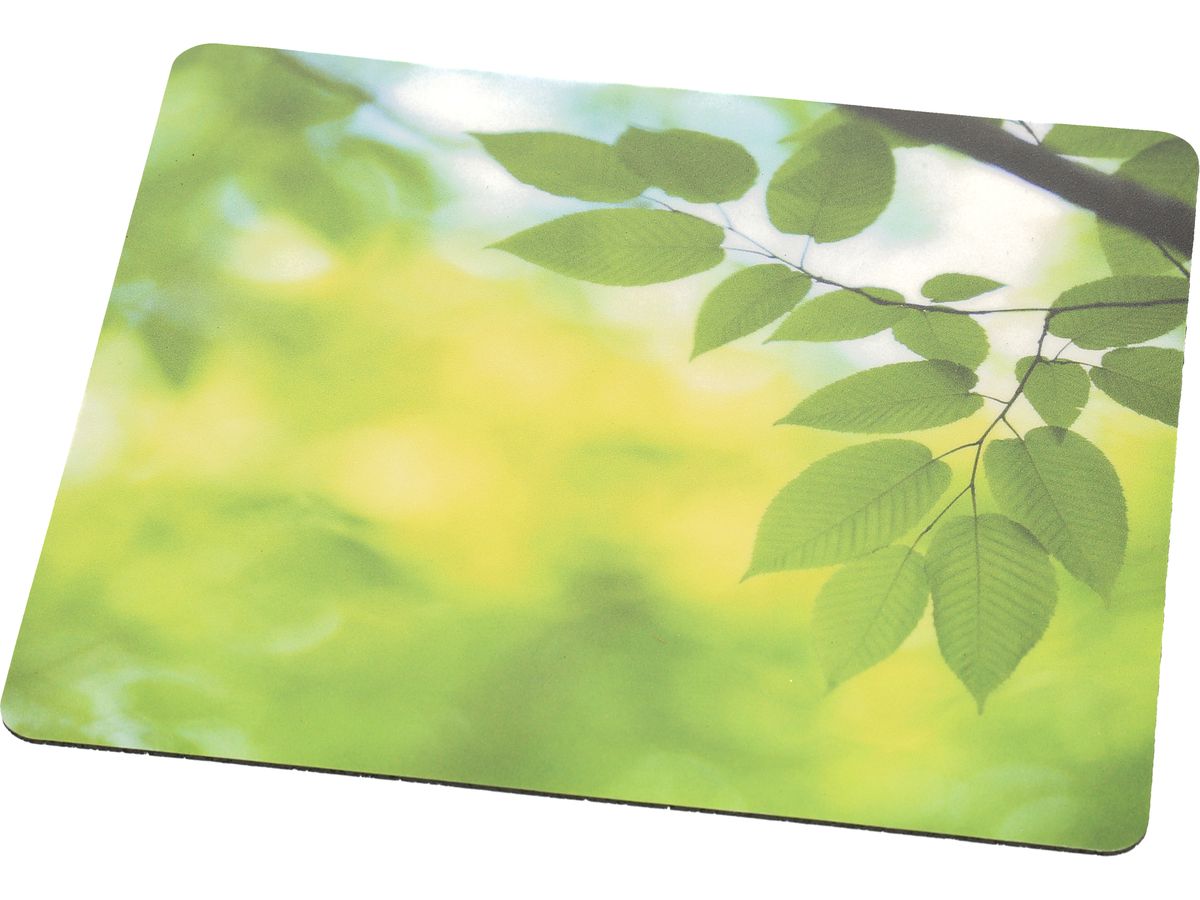 FELLOWES Mousepad Earth 5903801 Serie fogli verde (0043859542819)