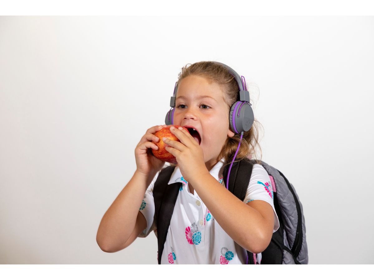 JLAB JBuddies Studio Kids On-Ear IEUHJKSTUDIORGRYPRP6 Wired, Grey/Purple (0812887015431)