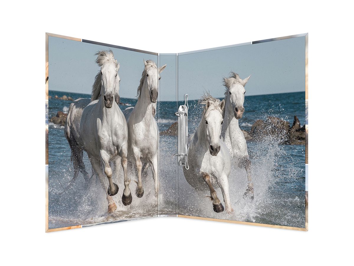 HERMA Classeur á anneaux A4 carton 19429 2D cheveaux (4008705194297)