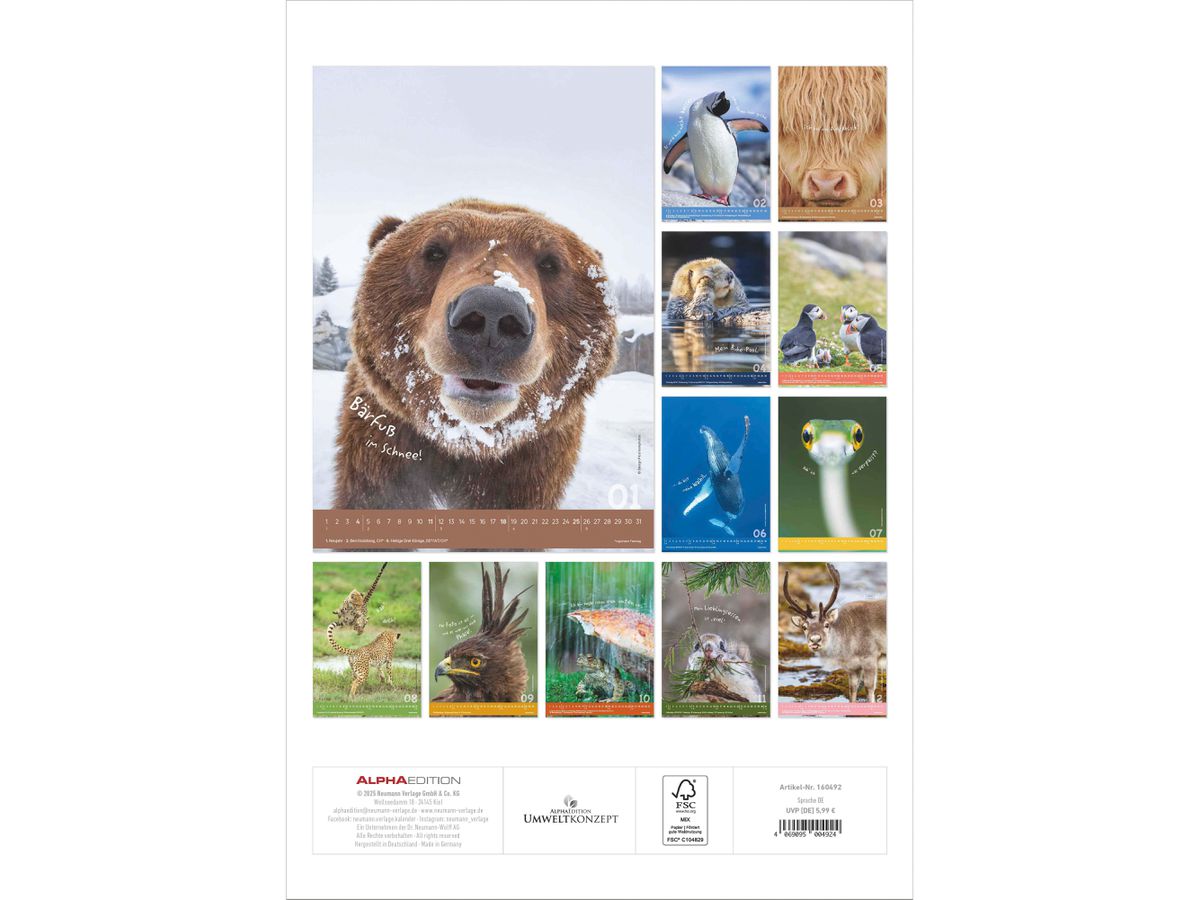 ALPHA EDITION Bildkalender 2026 160492 Tierisch cool! DE 23.7x34cm (4069095004924)