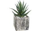 EGLO Plante artificielle 12cm 428008 vert, en pot (9008606253289)