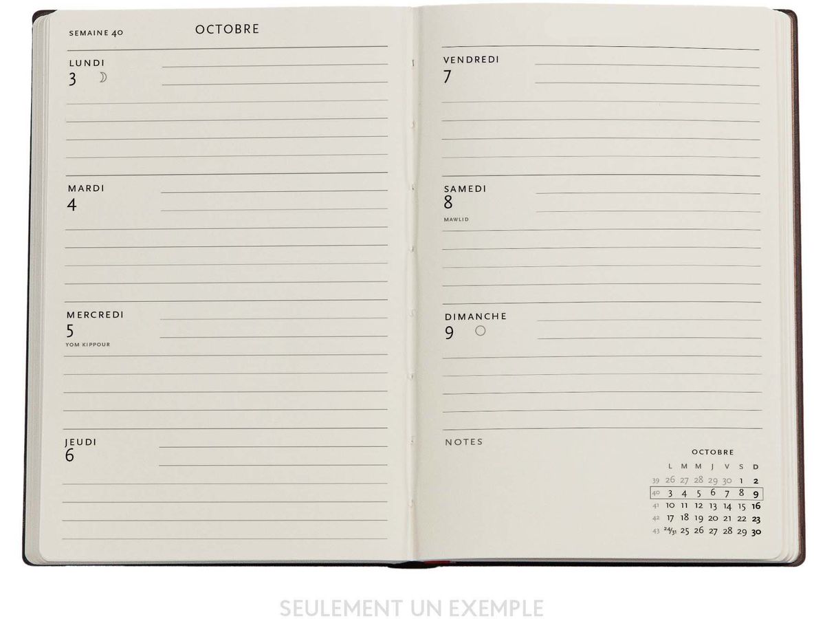 PAPERBLANKS Agenda Dom Mailand Midi 25/26 DD0538-5 1W/2S 18M DE HOR HC 13x18cm (9780349705385)