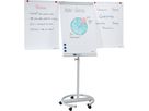 FRANKEN Flipchart ECO 68x105cm F2400/N hellgrau mobil (4016946198905)