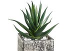 EGLO Plante artificielle 12cm 428008 vert, en pot (9008606253289)