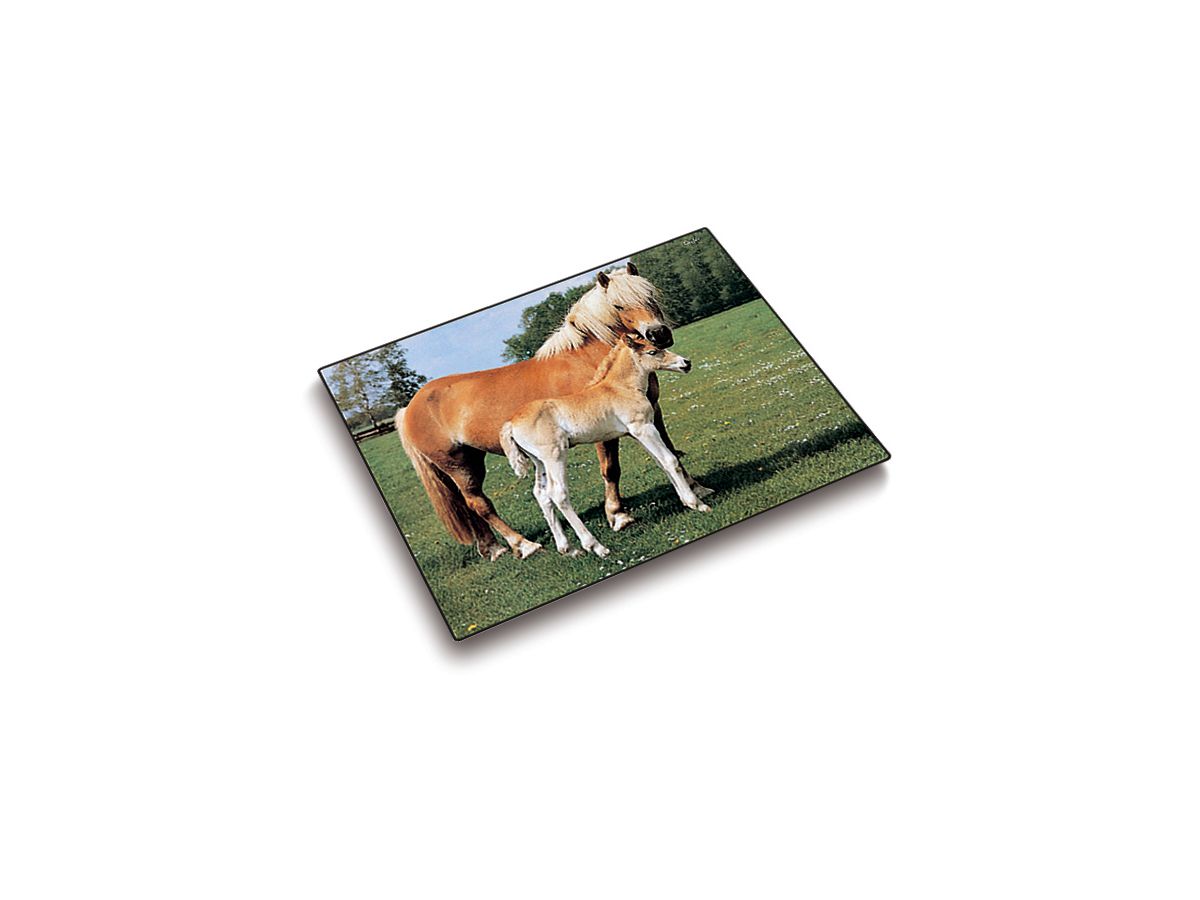 LÄUFER Sottomano 46587 motivo 53x40cm (4006677465872)