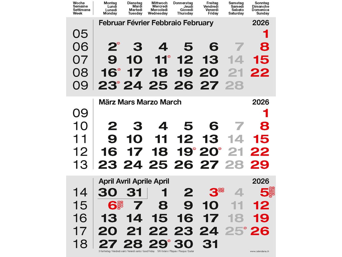 CALENDARIA Calendario parete 3 mesi 2026 9783036205526 grigio 31x40cm (9783036205526)