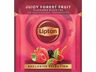 LIPTON Tè ai frutti di bosco 4071217 25 Piramide (8720608020584)