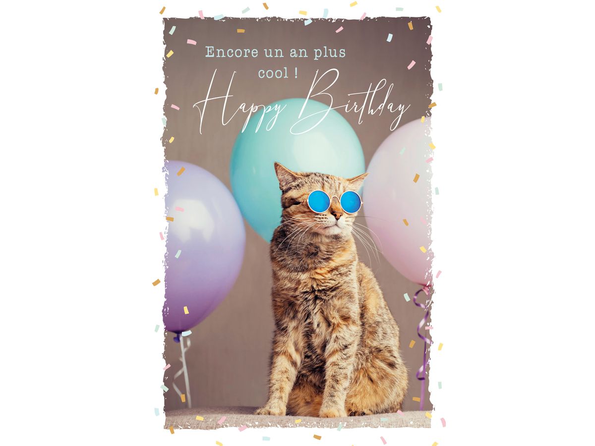 ABC Biglietto d'auguri FR B6 53066 Sunny Cat (7611119275659)