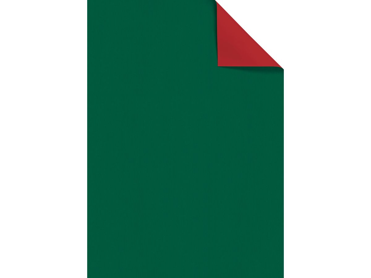 STEWO Papier cadeau Uni Duplo 2514658245 70x100cm vert (7630050822890)